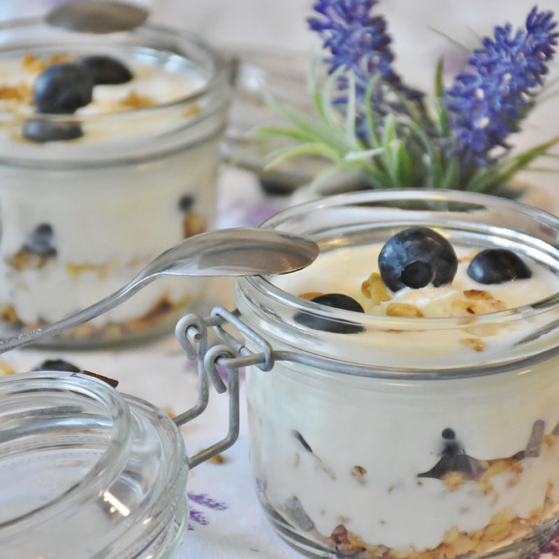 liofilizirane borovnice v jogurtu