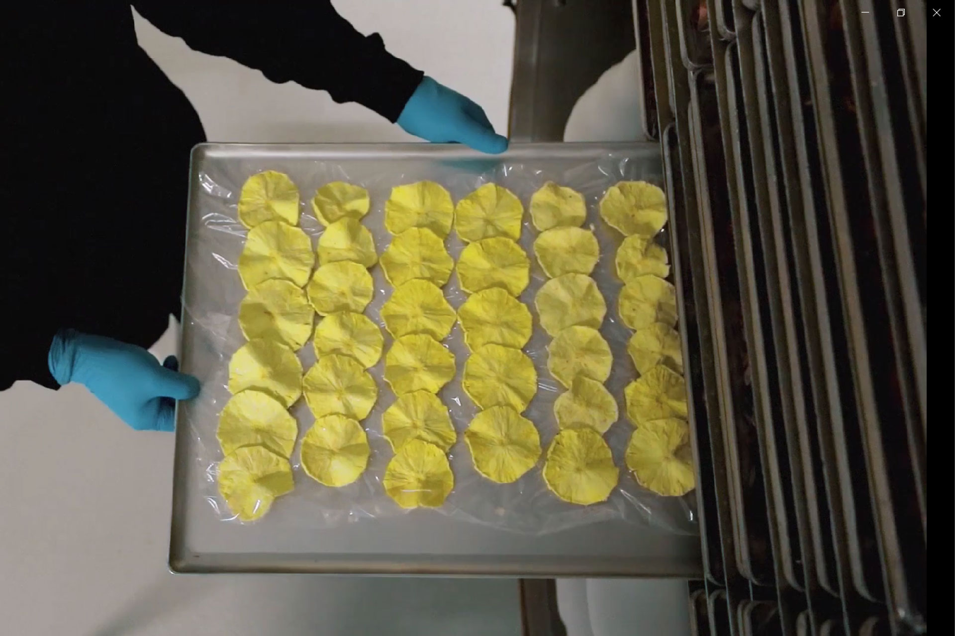 liofiziranosadje-slika1 Liofilizirano sadje v rezinah na pladnju