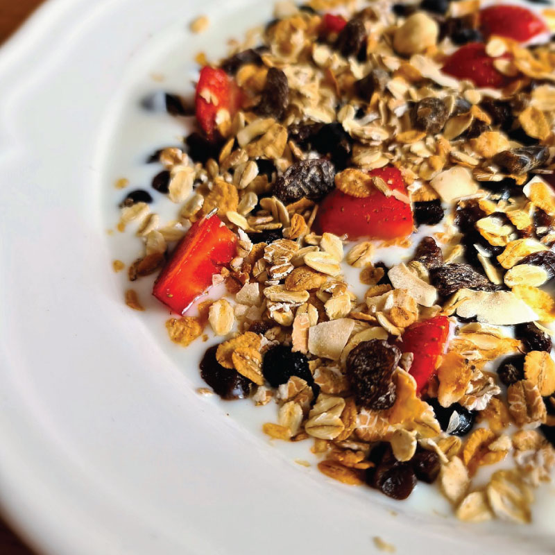 liofilizirano sadje v kosmicih